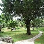 15259b بونات